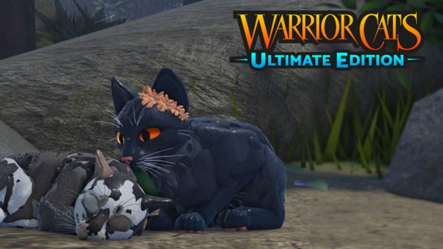 WarriorCatsのロゴの横に座っている2匹の猫