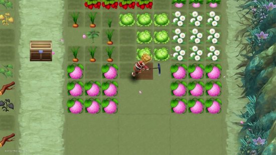 ルーンファクトリー 3 特別レビュー: キャラクターが畑を耕す
