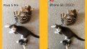 Tecno Pova 5 Pro 5G Free Fire Special Edition レビュー: 子猫の 2 枚の写真を示す比較グラフィック。左は Pova 5 Pro で撮影したもの、右は iPhone SE (2022) で撮影したものです。