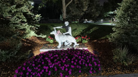 携帯電話のレビューのために Oppo Find N3 Flip を使用して夜に撮影した、花に囲まれた人間と犬の像の写真