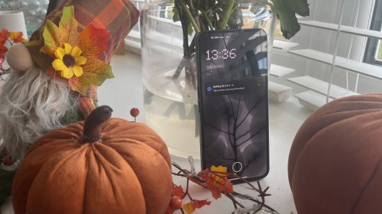 花瓶と秋のカボチャの上にデバイスを立てた Photo for Nothing Phone 2 のレビュー