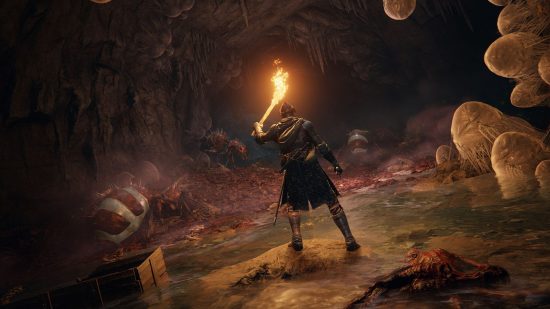 最高の Steam デッキ ゲーム - Elden Ring: ゴアと卵で満たされた暗い洞窟に立っていたキャラクター
